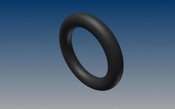 O - Ringe für das Ansaugrohr (20 Stück)